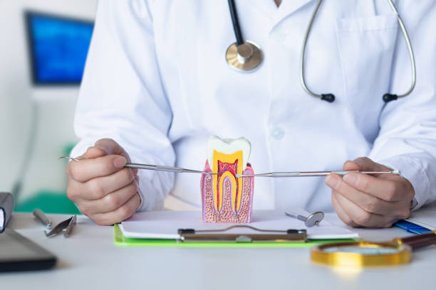 Best Emergency Treatment for Dental Infections or Abscesses in White Castle, LA